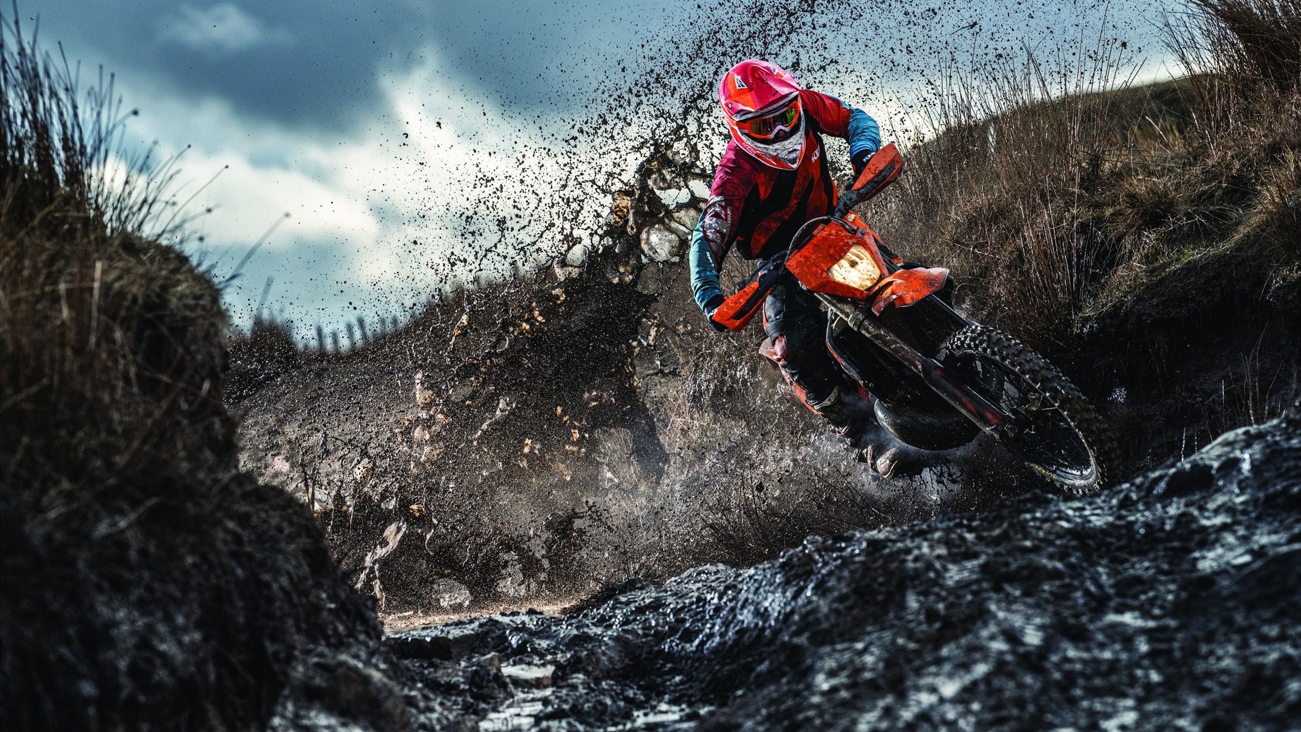 海岛环岛骑行，体验不同海岸线的运动魅力，环岛自行车怎么过